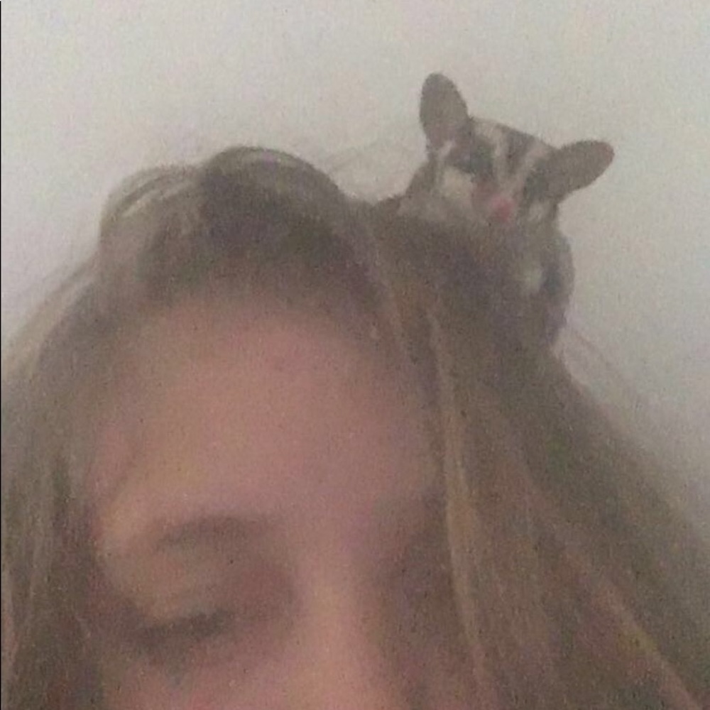 Meet your Posher, Sophia